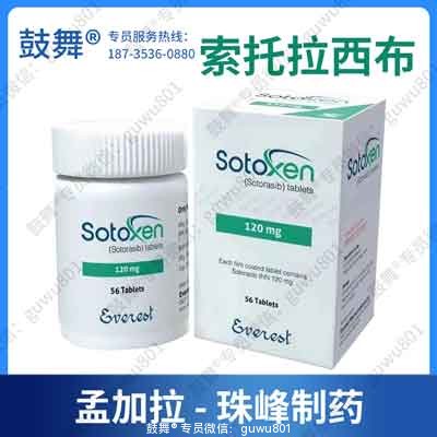 鼓舞-给生命以时光，全球靶向代办，微信：guwu801