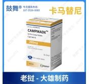 【老挝大雄制药】卡马替尼/卡玛替尼/INC280（CAMPMADX）
