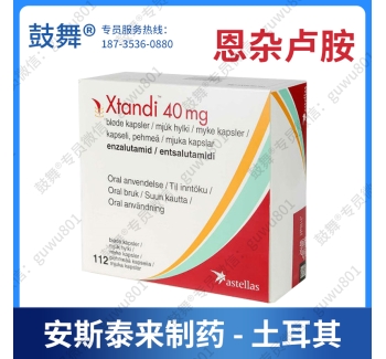 【日本安斯泰来】恩扎卢胺Enzalutamide（安可坦 Xtandi）土耳其