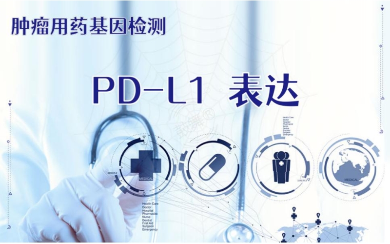 【肿瘤用药检测】PD-L1表达
