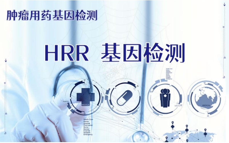 【肿瘤用药检测】HRR基因检测
