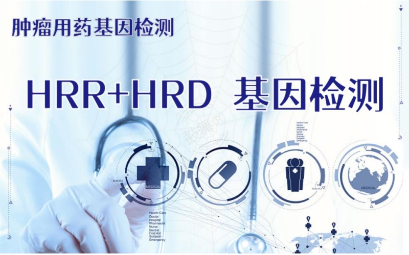【肿瘤用药检测】HRR+HRD基因检测