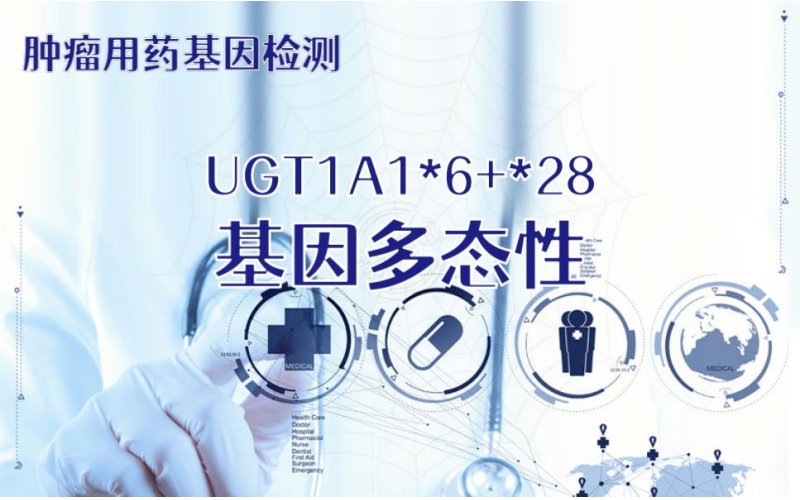 【肿瘤用药检测】UGT1A1-6+-28基因多态性