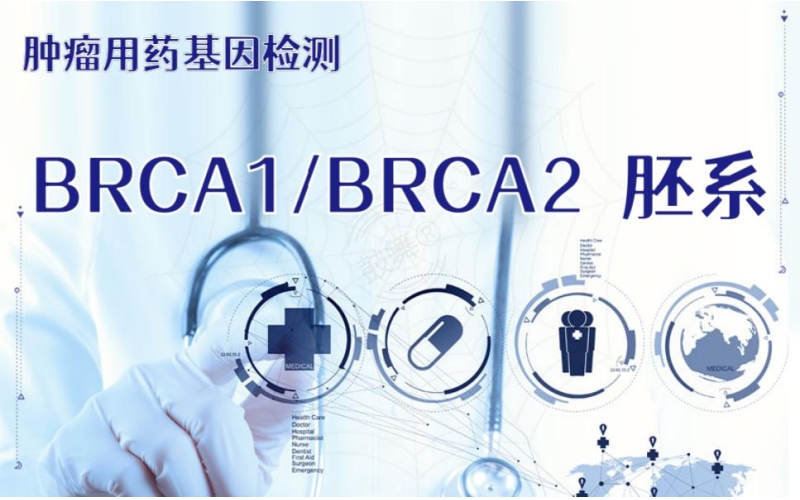 【肿瘤用药检测】BRCA1/BRCA2基因检测（胚系）