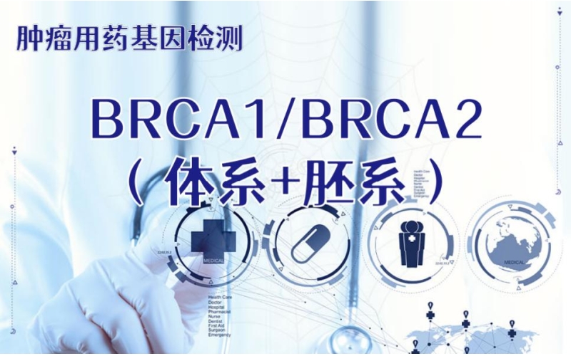 【肿瘤用药检测】BRCA1/BRCA2基因检测（体系+胚系）