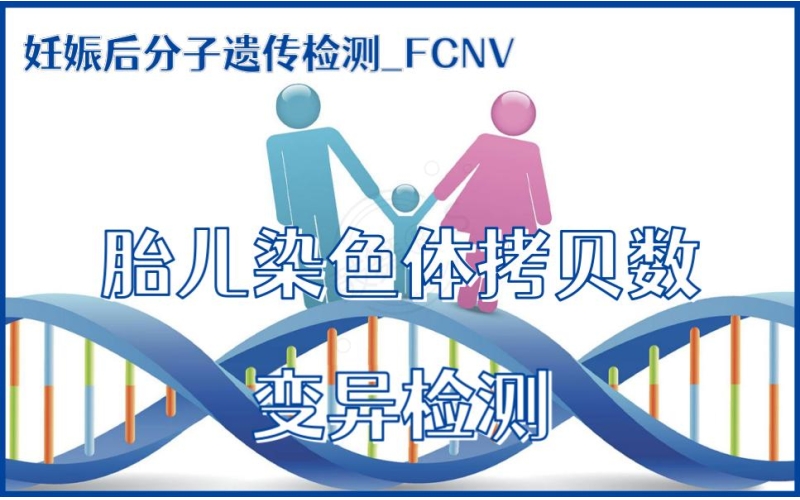 【妊娠后分子遗传检测】FCNV-胎儿染色体拷贝数变异检测