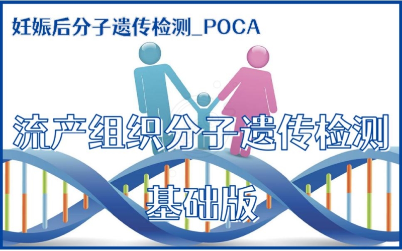 【妊娠后分子遗传检测】POCA-流产组织分子遗传检测 基础版