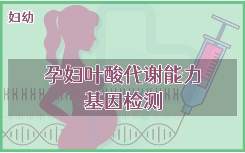 【妇幼】孕妇叶酸代谢能力基因检测