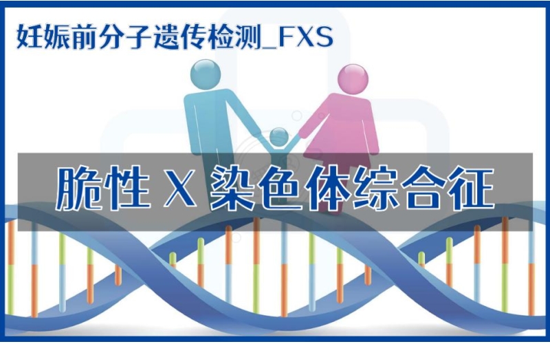 【妊娠前分子遗传检测】FXS-脆性X染色体综合征检测