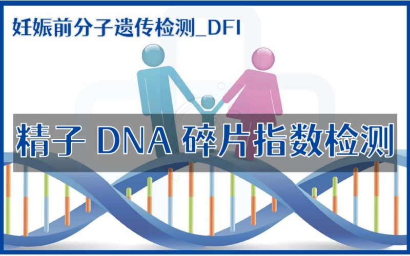 【妊娠前分子遗传检测】DFI-精子DNA碎片指数检测