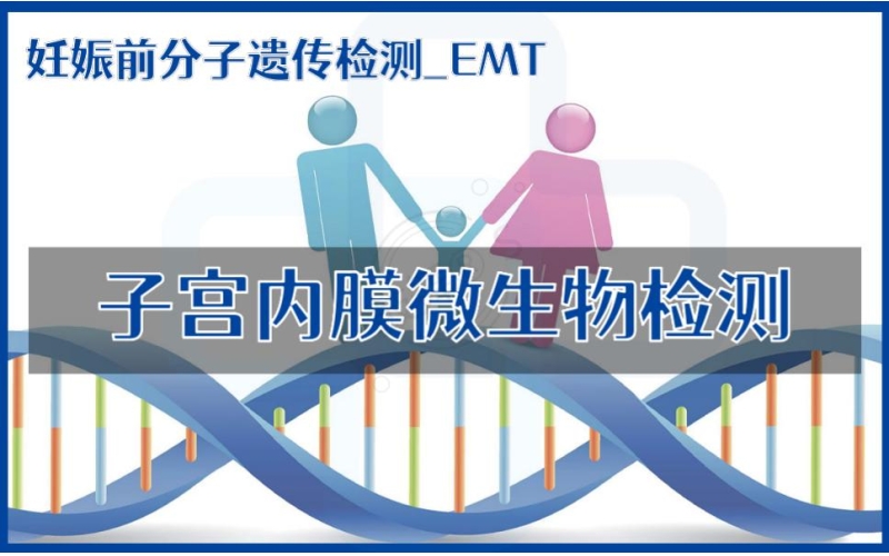 【妊娠前分子遗传检测】EMT-子宫内膜微生物检测