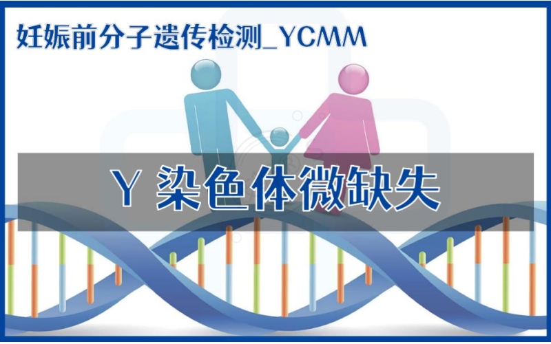 【妊娠前分子遗传检测】YCMM-Y染色体微缺失基因检测