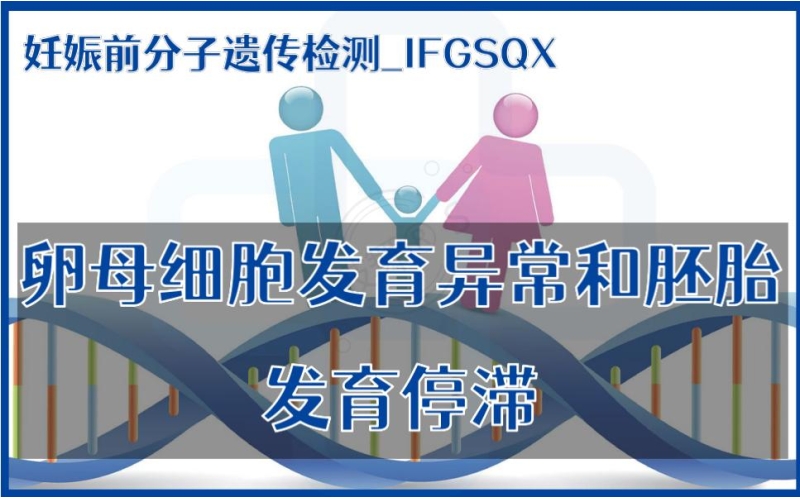 【妊娠前分子遗传检测】IFGSQX-卵母细胞发育异常和胚胎发育停滞