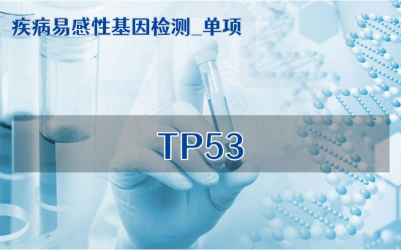 【疾病易感性基因检测单项】TP53