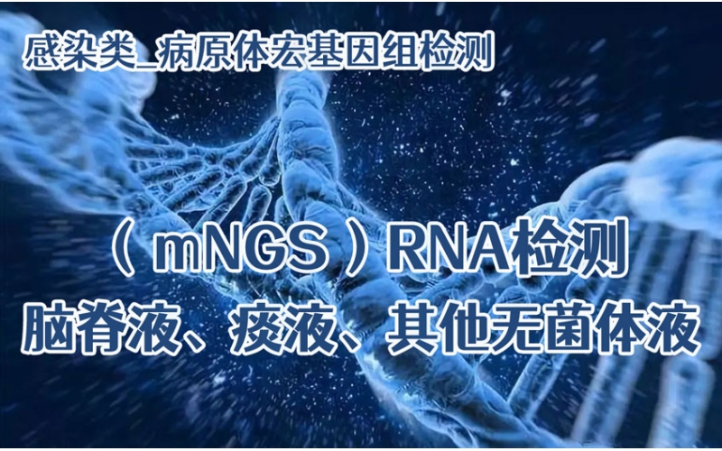 【感染类_病原体宏基因组（mNGS）RNA检测】脑脊液、痰液、其他无菌体液