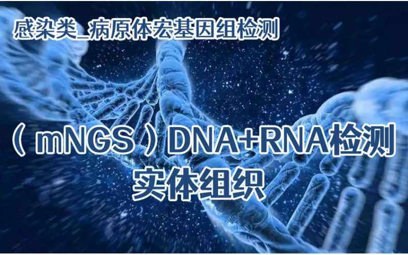 【感染类_病原体宏基因组（mNGS）DNA+RNA检测】实体组织