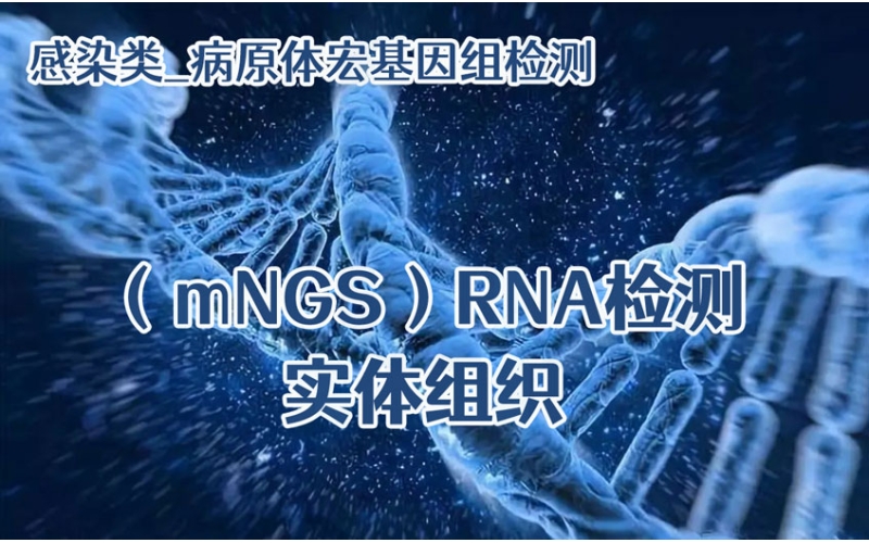 【感染类_病原体宏基因组（mNGS）RNA检测】实体组织