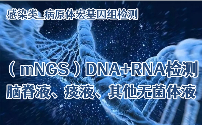 【感染类_病原体宏基因组（mNGS）DNA+RNA检测】脑脊液、痰液、其他无菌体液