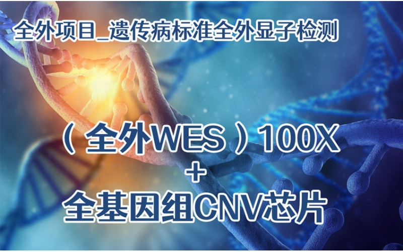 【全外项目】遗传病标准全外显子检测（全外WES)100X+全基因组CNV芯片