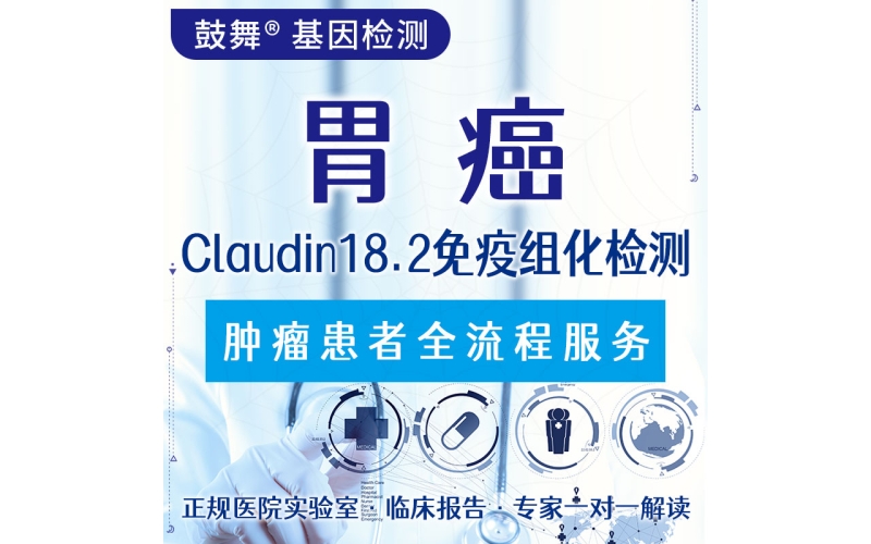 【肿瘤用药检测】胃癌Claudin18.2免疫组化检测