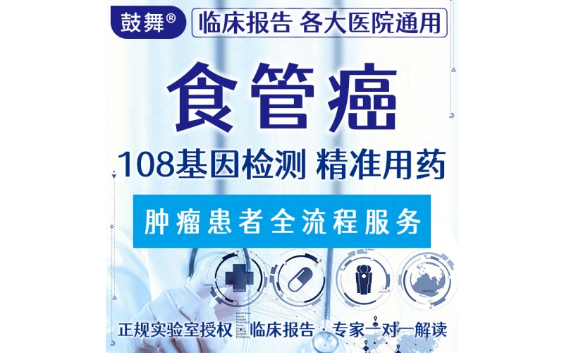 【肿瘤用药检测】食管癌108基因检测