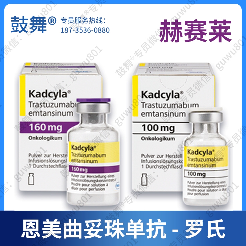【原研-美国罗氏制药】恩美曲妥珠单抗T-DM1（赫赛莱 Kadcyla）