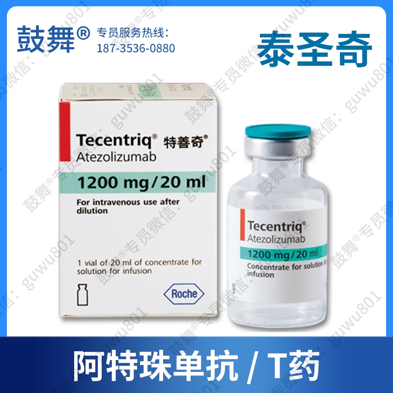 【原研】阿特珠单抗/阿替利珠单抗Atezolizumab（泰圣奇 Tecentriq）T药