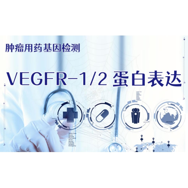 【肿瘤用药检测】VEGFR-1/2蛋白表达