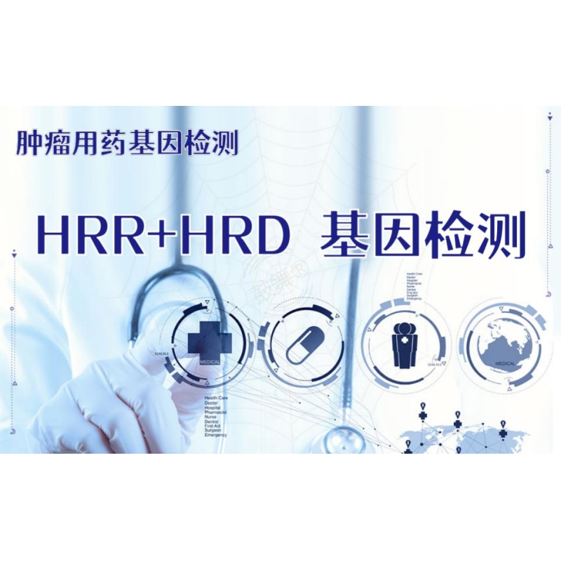 【肿瘤用药检测】HRR+HRD基因检测