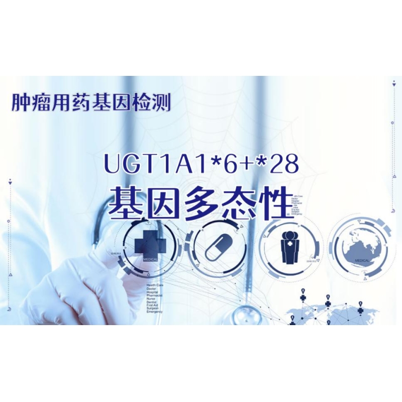 【肿瘤用药检测】UGT1A1-6+-28基因多态性