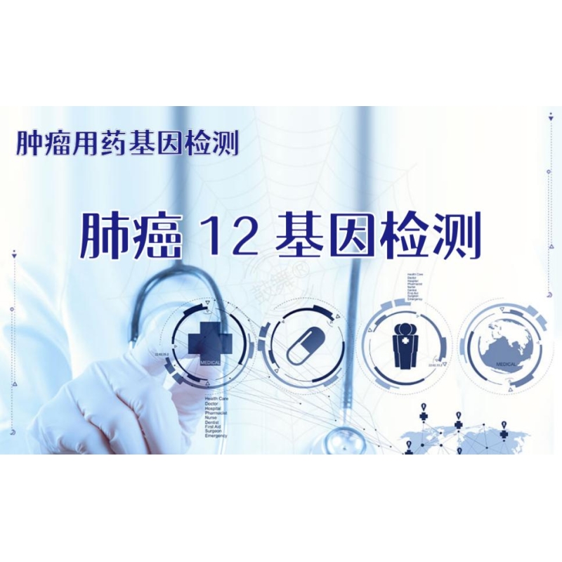【肿瘤用药检测】肺癌12基因检测