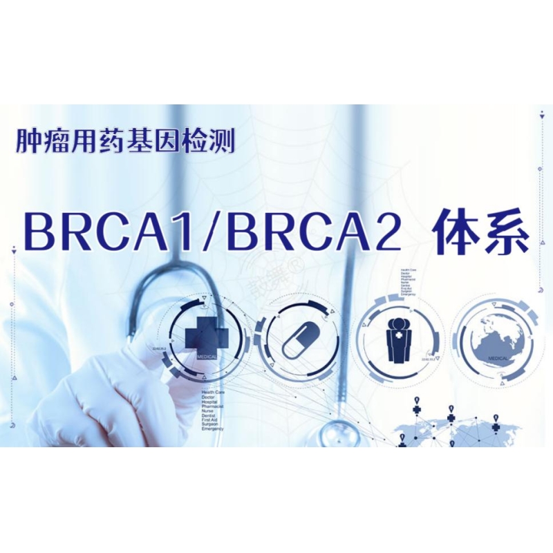 【肿瘤用药检测】BRCA1/BRCA2基因检测（体系）