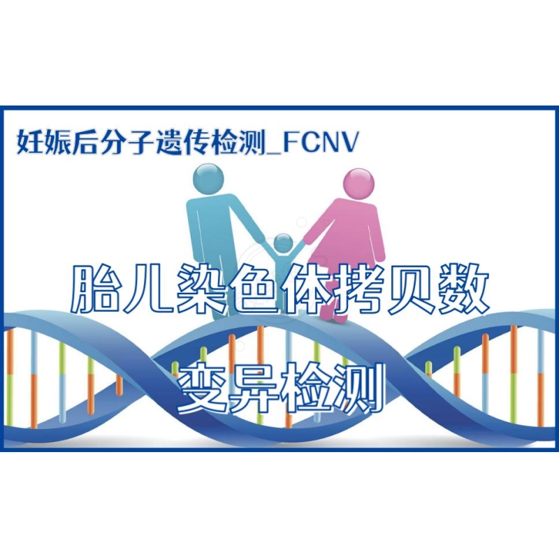 【妊娠后分子遗传检测】FCNV-胎儿染色体拷贝数变异检测