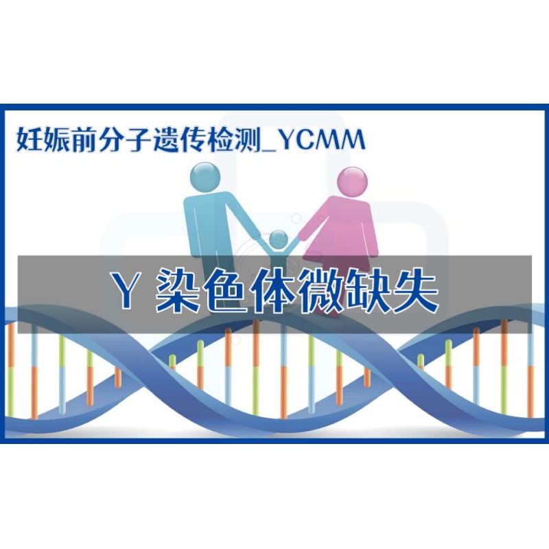 【妊娠前分子遗传检测】YCMM-Y染色体微缺失基因检测