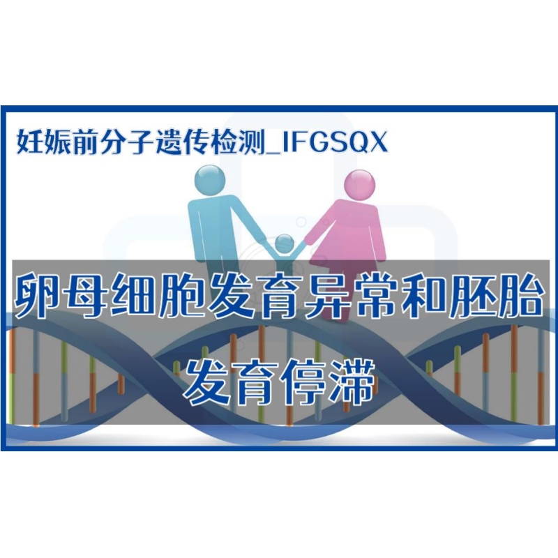 【妊娠前分子遗传检测】IFGSQX-卵母细胞发育异常和胚胎发育停滞