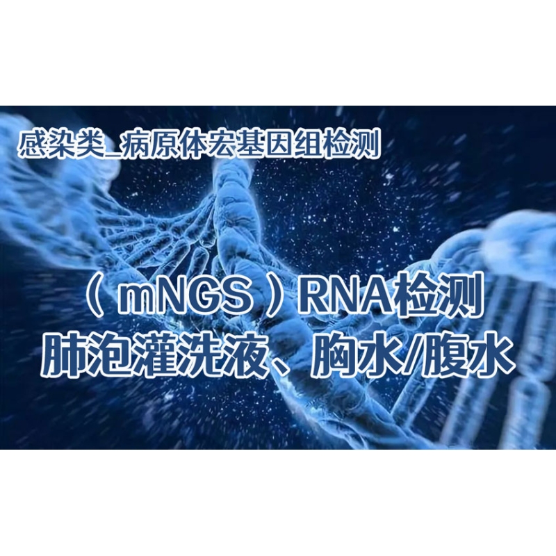 【感染类_病原体宏基因组（mNGS）DNA检测】肺泡灌洗液、胸水/腹水