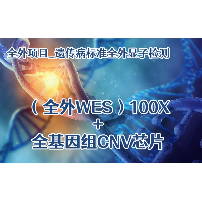 【全外项目】遗传病标准全外显子检测（全外WES)100X+全基因组CNV芯片