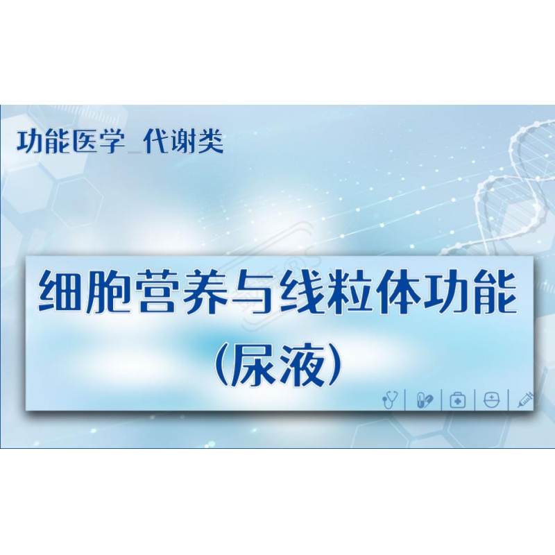 【功能医学_代谢类】细胞营养与线粒体功能(尿液)