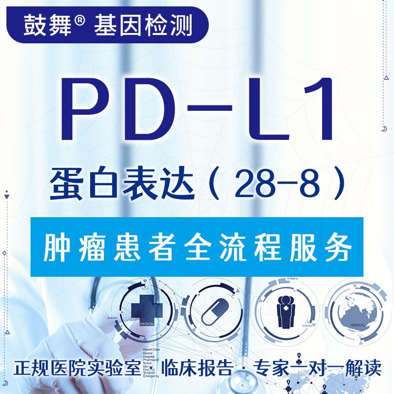 【肿瘤用药检测】PD-L1蛋白表达（28-8）