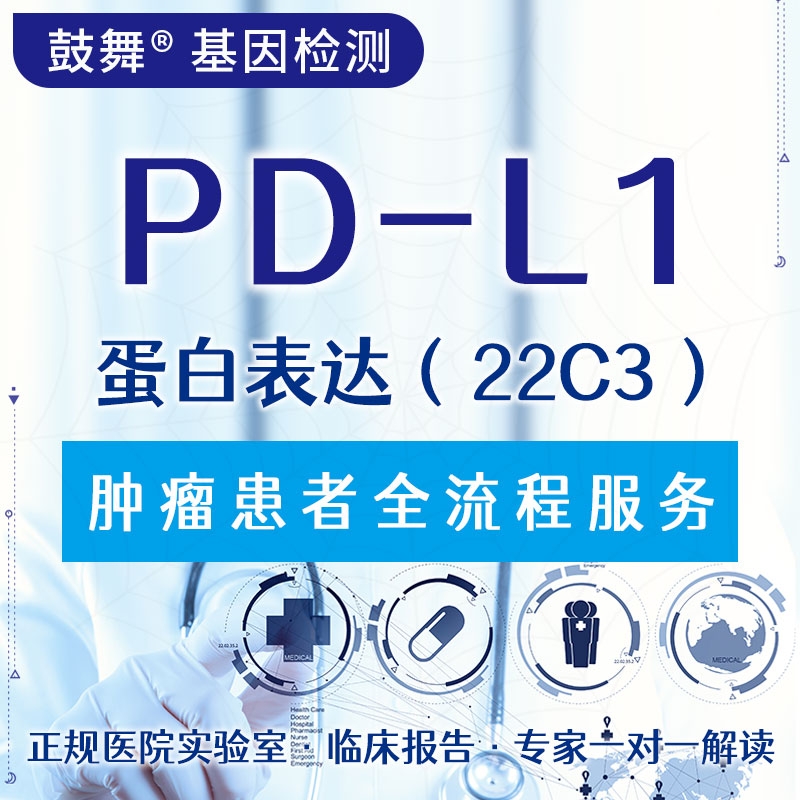 【肿瘤用药检测】PD-L1蛋白表达（22C3）
