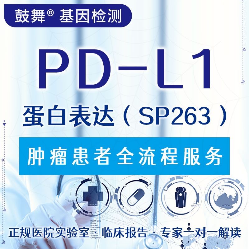 【肿瘤用药检测】PD-L1蛋白表达（SP263）