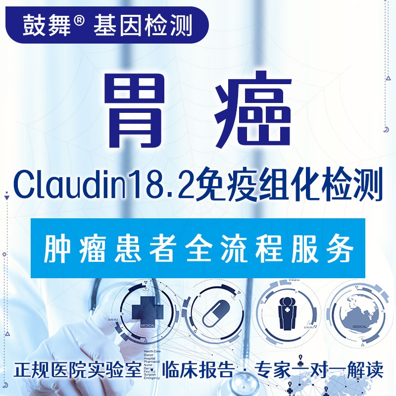 【肿瘤用药检测】胃癌Claudin18.2免疫组化检测