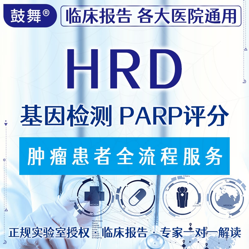 【肿瘤用药检测】HRD基因检测（PARP评分）