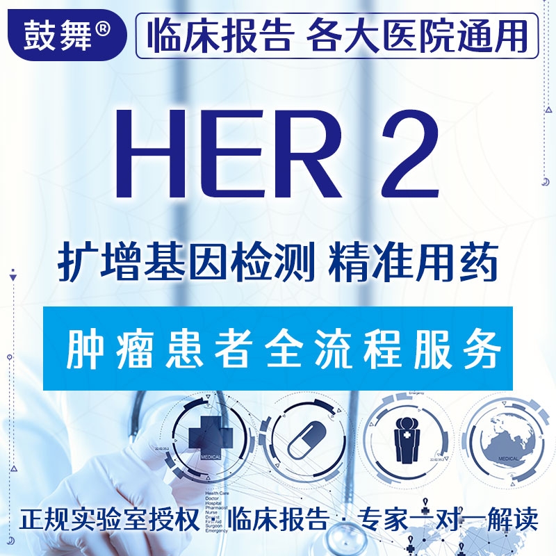 【肿瘤用药检测】HER2扩增检测（FISH）