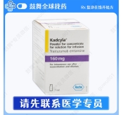恩美曲妥珠单抗T-DM1（赫赛莱 Kadcyla）160mg