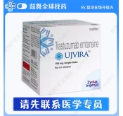 恩美曲妥珠单抗T-DM1（UJVIRA）印度 100mg/瓶