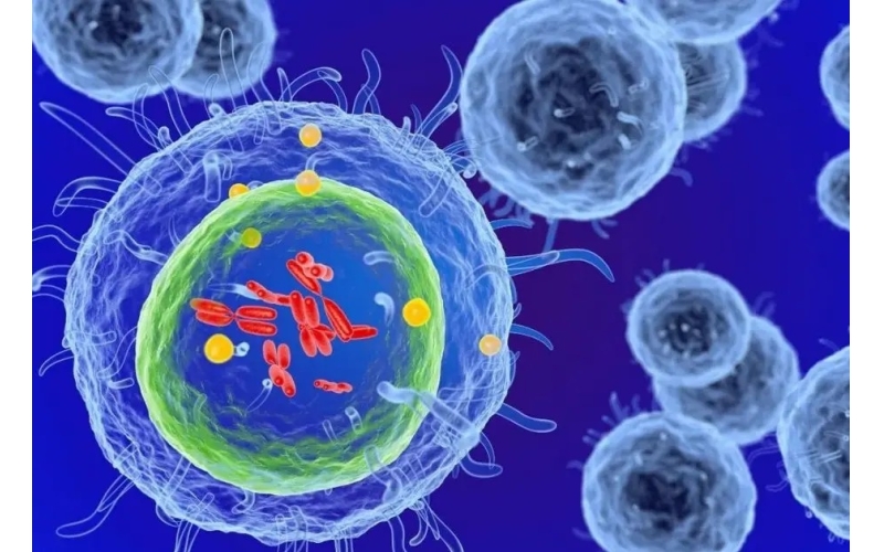 防癌的本质，突发的肿瘤还是突然发现的肿瘤？