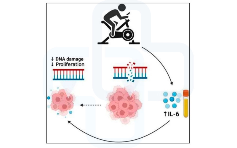 【运动】使癌细胞肉眼可见地“消失”！