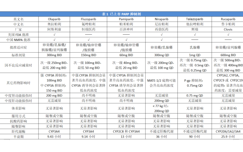 PARP抑制剂治疗小细胞肺癌进展