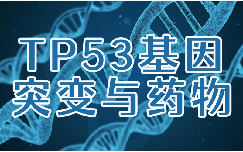 【基因】TP53基因突变与药物